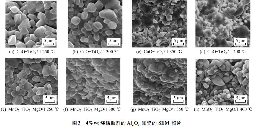 图3 4%wt 烧结助剂的氧化铝 陶瓷的SEM 照片