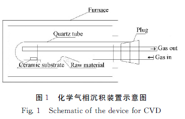 图１　化学气相沉积装置示意图