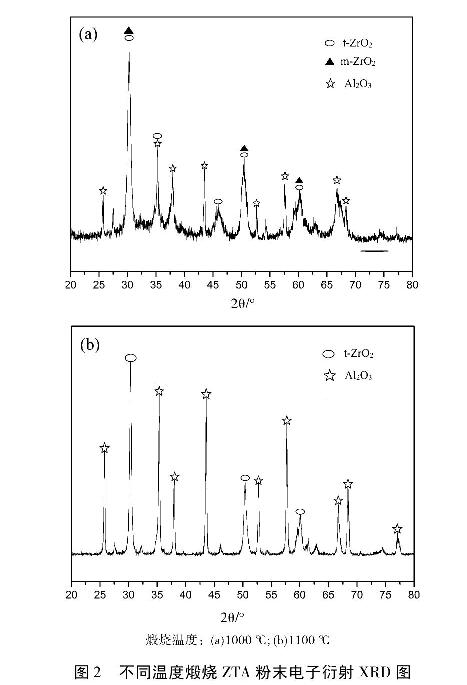 图2不同温度煅烧ZTA粉末电子衍射XRD图
