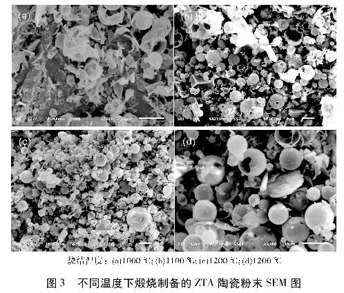 图3  不同温度下煅烧制备的ZTA陶瓷粉末SEM图