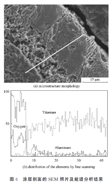 图６　涂层剖面的ＳＥＭ 照片及能谱分析结果