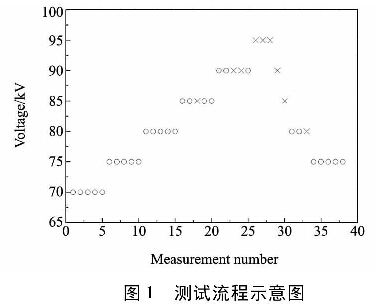 图1  测试流程示意图