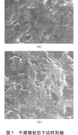 图5  干摩擦状态下试样形貌