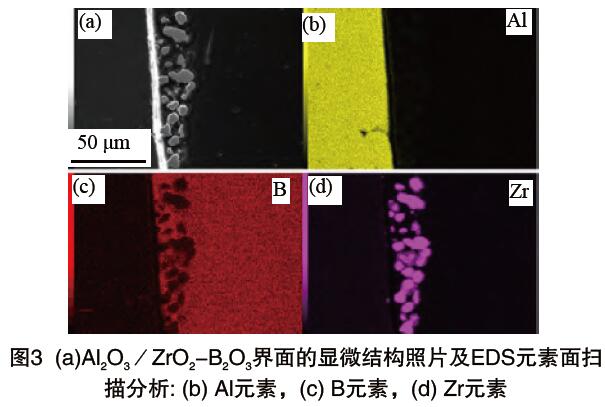 图3 (a)Al2O3／ZrO2-B2O3界面的显微结构照片及EDS元素面扫 描分析: (b) Al元素，(c) B元素，(d) Zr元素