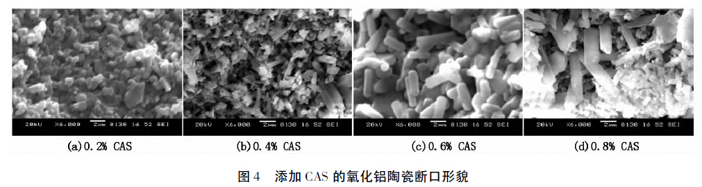 图4 添加CAS 的氧化铝陶瓷断口形貌