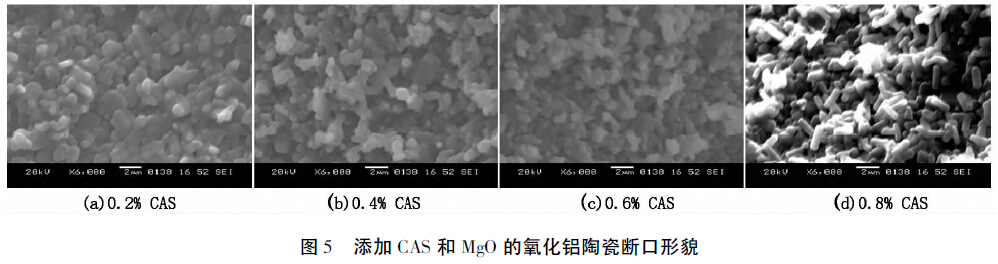 图5 添加CAS和MgO的氧化铝陶瓷断口形貌