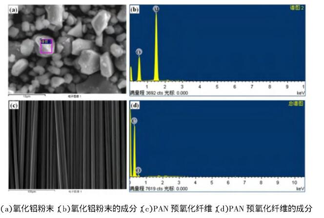 图1 原材料的形貌及成分分析
