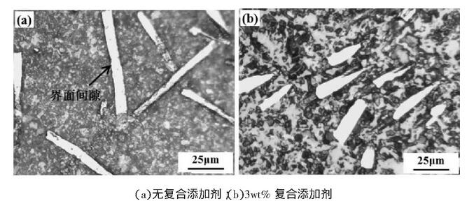 图2 陶瓷基复合材料的显微组织